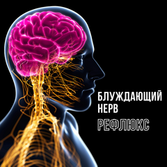 Как блуждающий нерв связан с рефлюксом и как упражнения Розенберга могут помочь