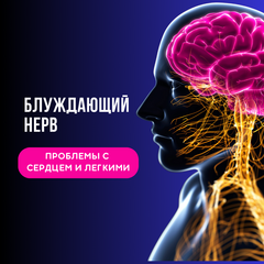 Как проблемы с блуждающим нервом влияют на сердце и легкие: Роль упражнений Розенберга