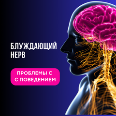 Проблемы с поведением и их связь с компрессией блуждающего нерва