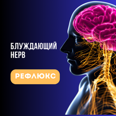 Рефлюкс и блуждающий нерв: как связаны эти две проблемы?