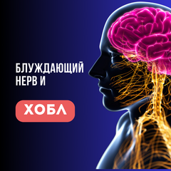Как блуждающий нерв может быть связан с ХОБЛ и что с этим делать