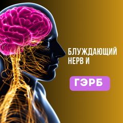 Как компрессия блуждающего нерва может вызвать ГЭРБ и как упражнение Розенберга поможет