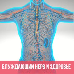 Последствия игнорирования здоровья блуждающего нерва