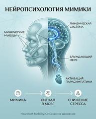 А что, если ваш стресс буквально «написан» на лице? И вы можете его стереть?