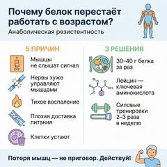 Почему с возрастом белок “перестаёт работать” — и что с этим делать